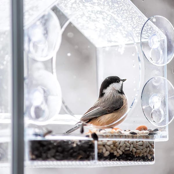 🐦 Okienny karmnik dla ptaków- Gorąca wyprzedaż🔥🔥