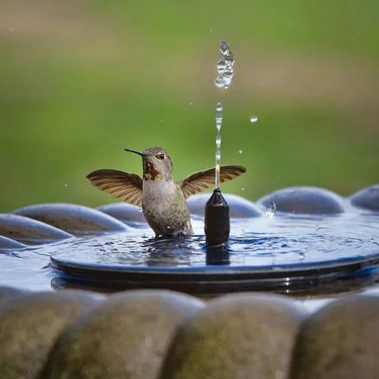 🐦 🌞Kompaktowa pompa do fontanny w kształcie ptaka zasilana energią słoneczną – ożyw swoją ogród!